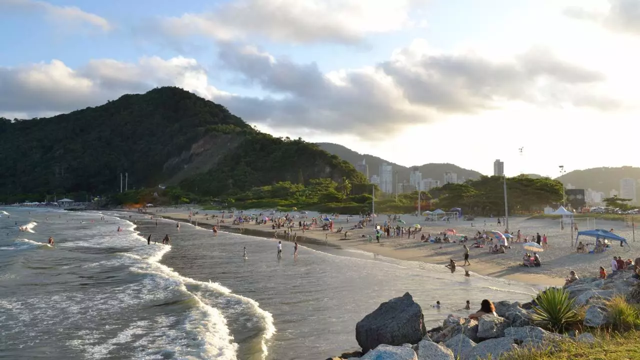 Praia Brava Aluguel e Venda de Imóveis em Itajaí